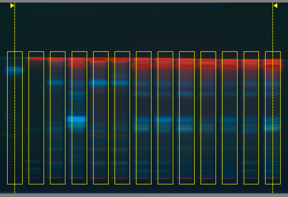 ../../_images/adjust_sequence_position.png